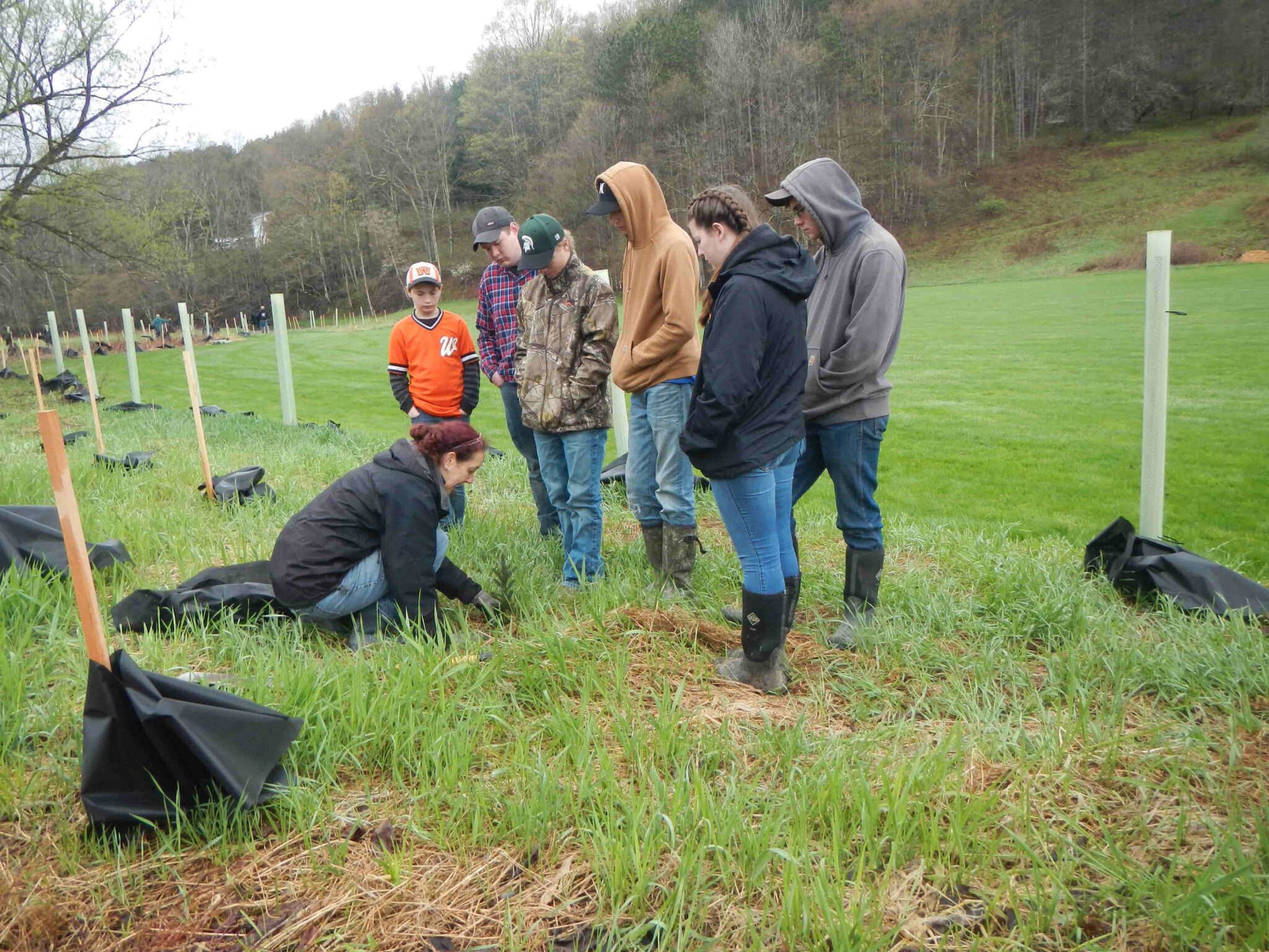 Stream Management Program Delaware County | Soil & Water Conservation District – DCSWCD Stream ...