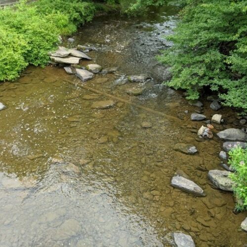 Looking upstream toward abandoned water main (active main is buried adjacent to abandoned line).