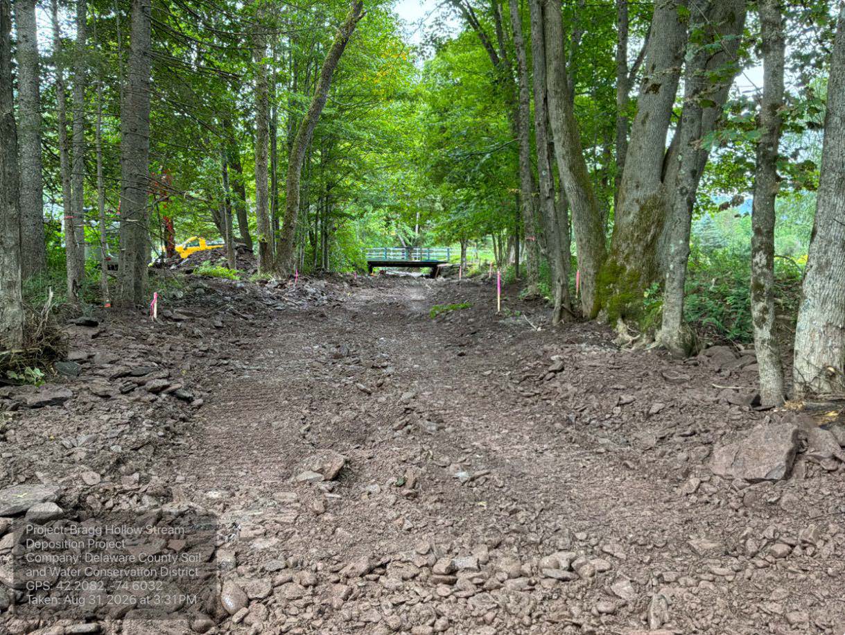 Photograph documents a rocky streambed through dense deciduous woodland during construction. Green-railed footbridge, yellow machinery, pink survey stakes, exposed roots, and forest-floor debris mark a developing stream.